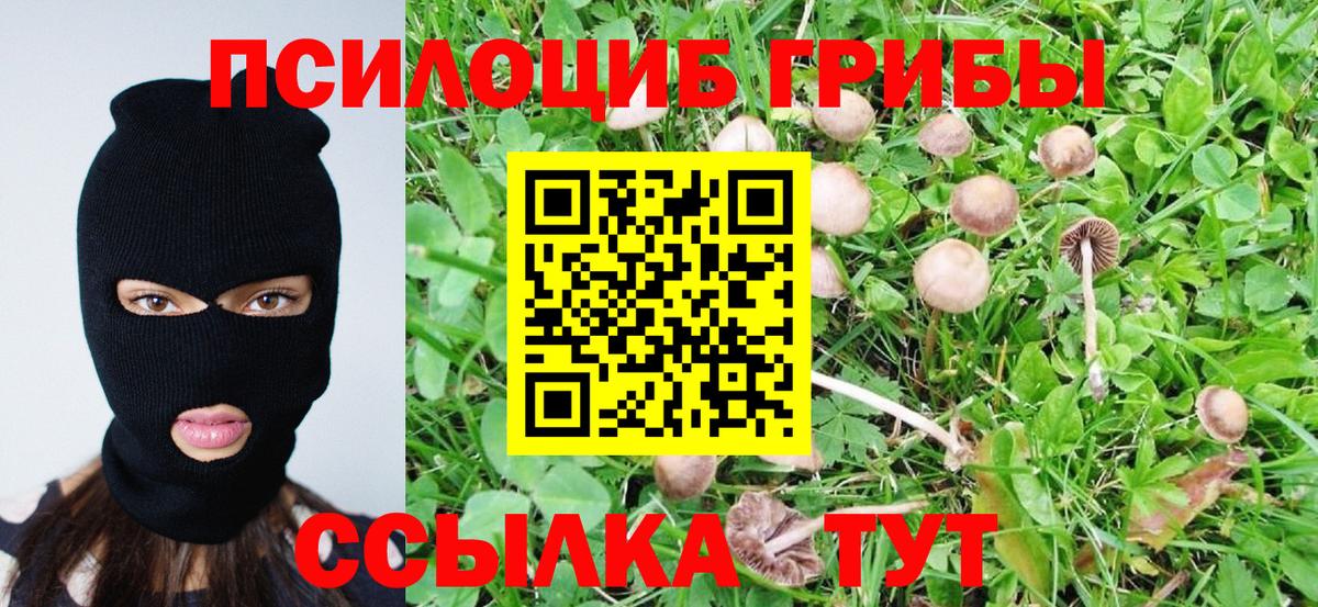 Когалым  Галлюциногенные грибы мухоморы  Галлюциногенные грибы Psilocybe  Вход с VPN 